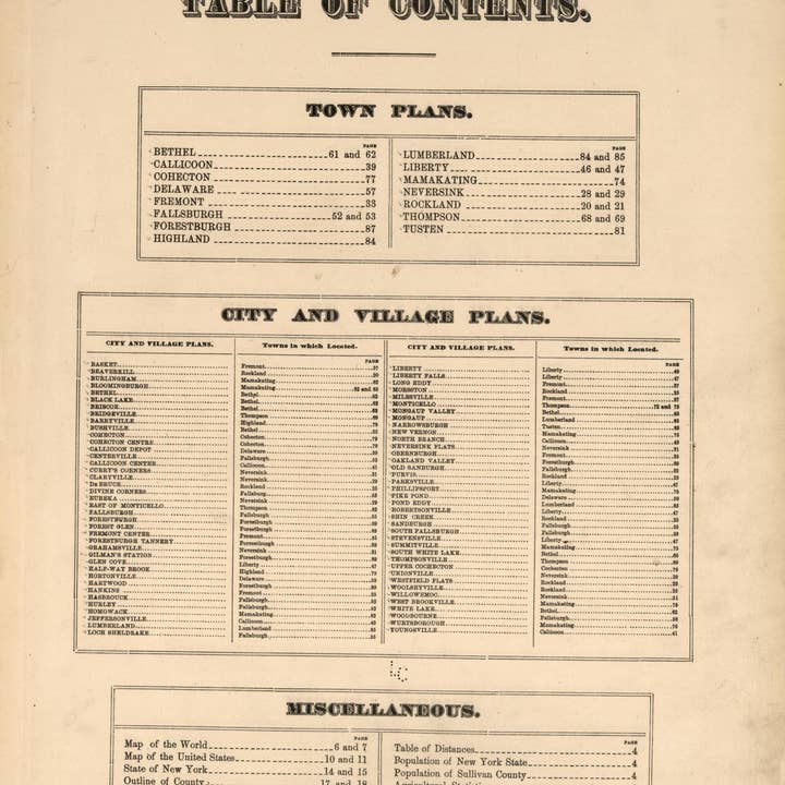 Relic Map Co. - Wholesale Map - County Atlas of Sullivan, New York 1875