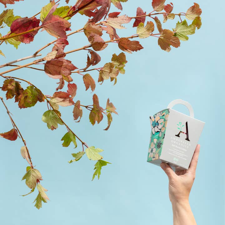 Amborella Organics - Wholesale Lollipop - Watering Can-Dy 20 Pack (Eat, Plant & Grow a Herb/Flower)7