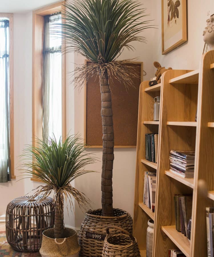 Rustic Reach - Wholesale Artificial Plant - Moroccan Artificial Palm Tree4