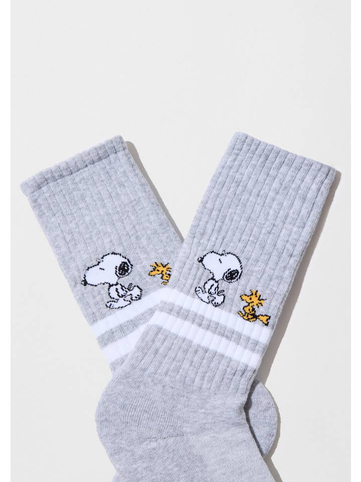 Grey BeSnoopy Stripes Street - 100% Organic Cotton Socks for wholesale on Faire1