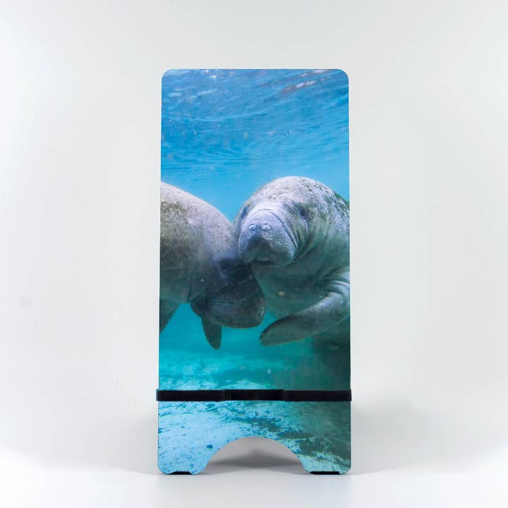 Phone Stand-Manatee 3 for wholesale by Mike Ring Photography