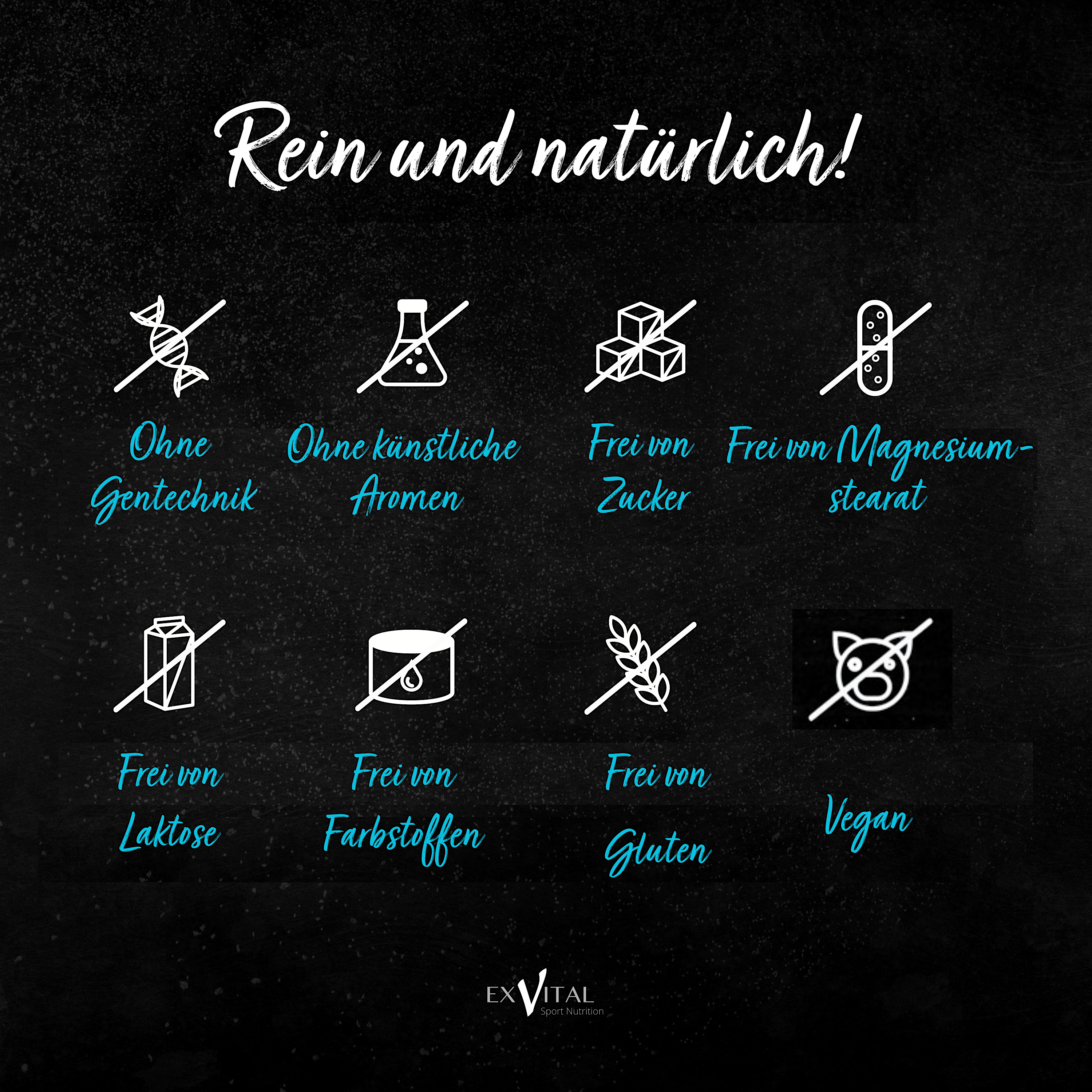 EXVital – wholesale Oral supplement/vitamin – Maca Capsules 1000 mg + L-Arginine 1800 mg + Vitamins + Zinc3