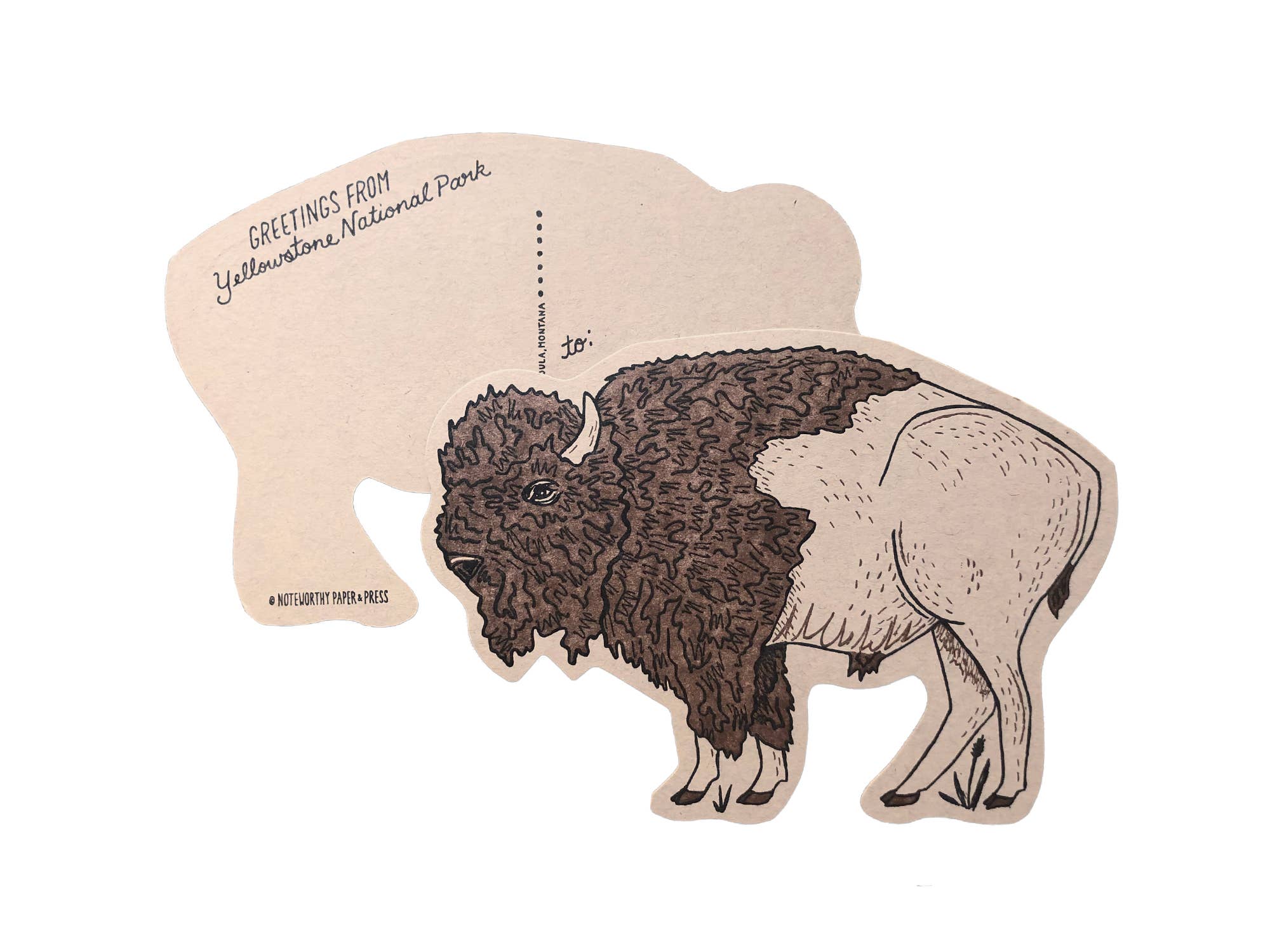 Noteworthy Paper & Press - Wholesale Postcard - Bison Postcard6