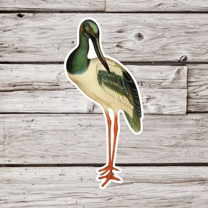 Adesivo cicogna, adesivo per uccelli, adesivo per ornitologia per la vendita all'ingrosso da parte di NatureCuts