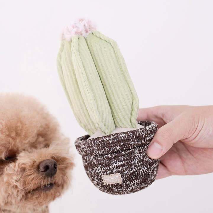 CACTUS for wholesale by Lambwolf Collective