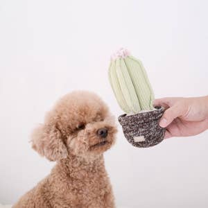 CYCLE DOG, Pretty Potted Flower Unstuffed Dog Toy