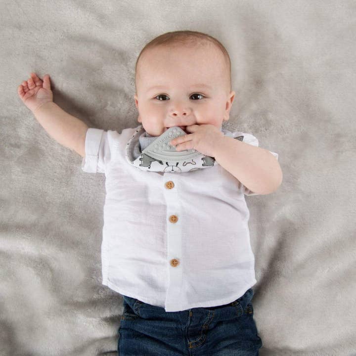 Cheeky Chompers – wholesale Haklapp - Baby – Nackerchew Tandvård Dribbla haklapp - Panda Pals