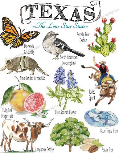 Pamela Cassidy Designs - Wholesale Tea Towel - Texas State Icon Kitchen Towel1