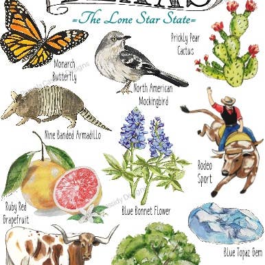 Pamela Cassidy Designs - Wholesale Tea Towel - Texas State Icon Kitchen Towel1