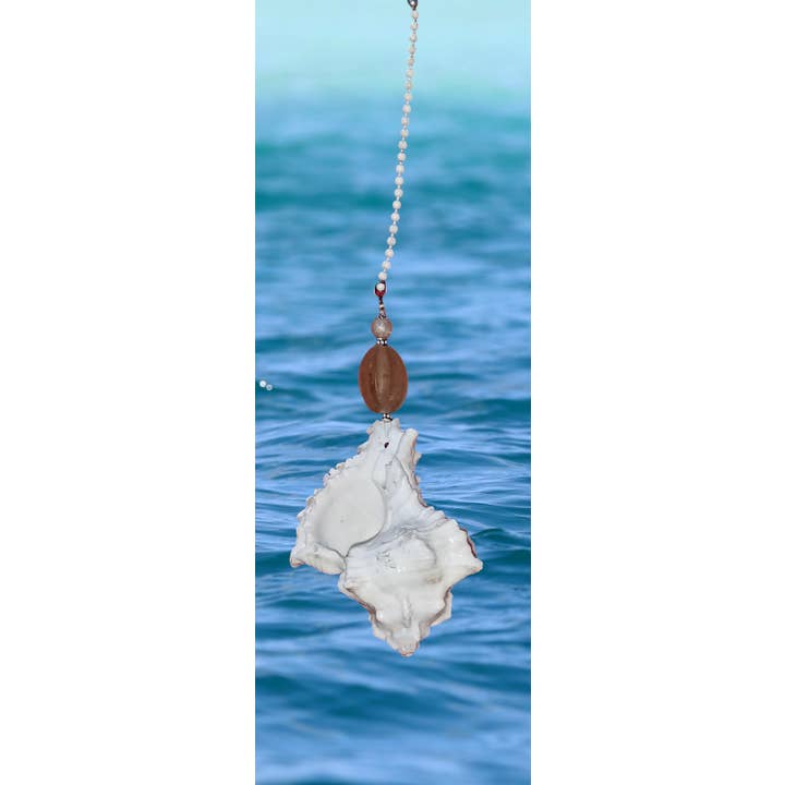 Shell We Sea Designs - Vente Décorations de table - Grand ventilateur en forme de coquillage, chaîne de plafond à tirer en forme de coquillage7