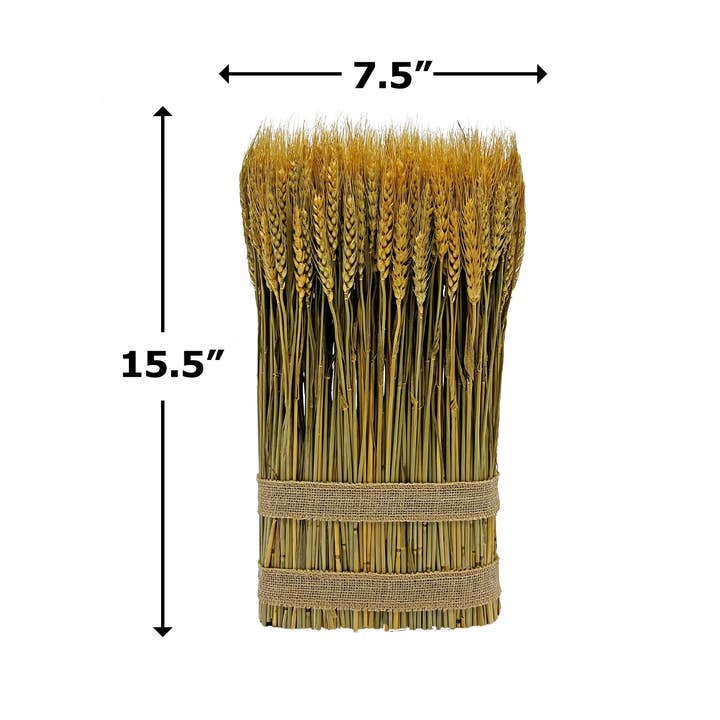 2626 Designs - Wholesale Dried/Pressed Flowers - Fall Harvest Preserved Decorative Wheat Standing Plant 8