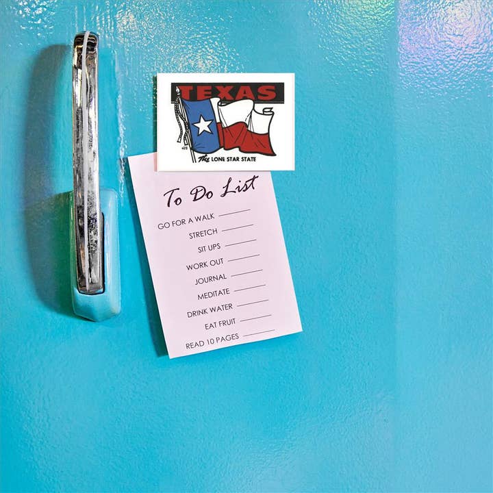 Found Image Press - Wholesale Magnet - Magnet TX-1002 Texas Lone Star State1