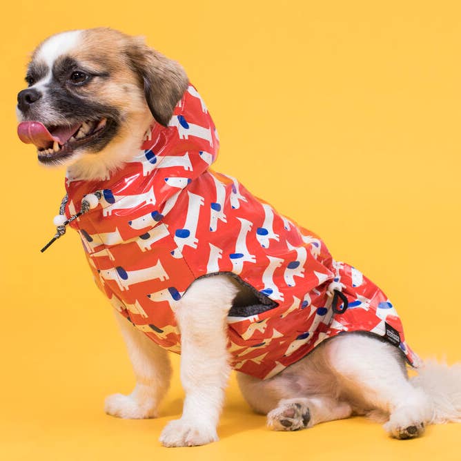 The Low Rider - Raincoat - (Clearance) for wholesale by The Long Dog Clothing Co.