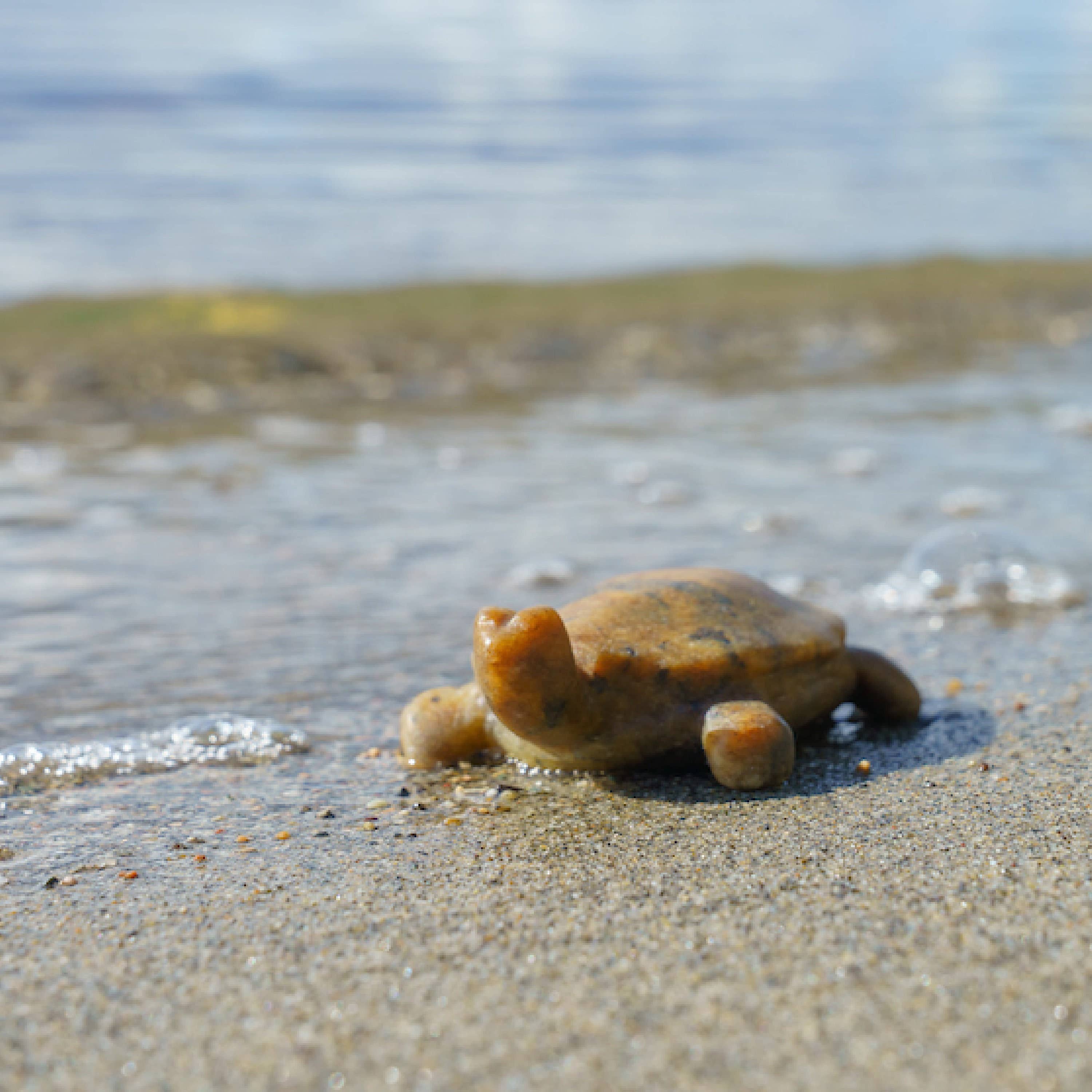 Studiostone Creative - Wholesale DIY Craft Kit - Kids - Turtle Soapstone Carving Kit8