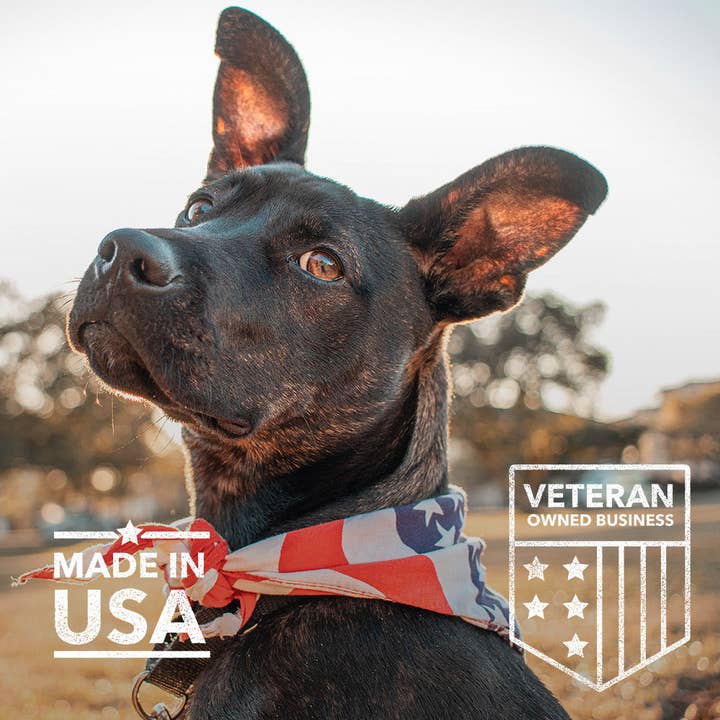 iHeartDogs.com – wholesale Pet supplement – Dog – iHeartDogs Allergy & Itch Relief Chews for Dogs with Salmon Oil, Quercetin, Colostrum, Antioxidants and Probiotics — 90 Count - Faire7