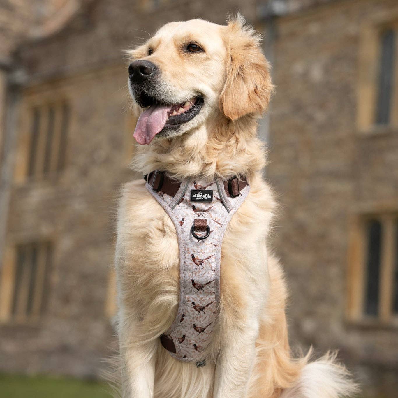 The aDoraBle Pooch Company - Wholesale Tuig voor huisdieren - Hond - Hike & Go™ Harnas - Farmland Fazant35