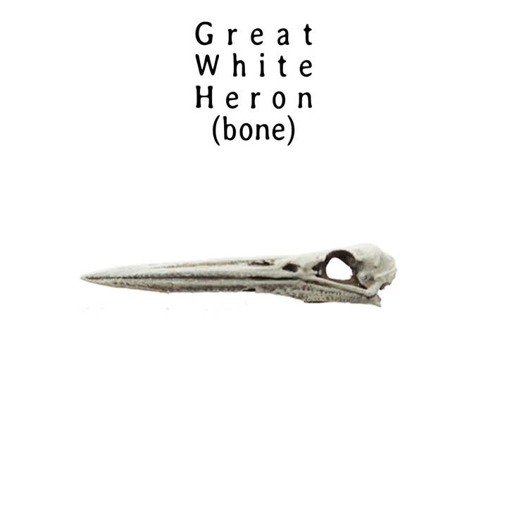 The Scale Grail – wholesale Decorative figurine – Great White Heron Skull Replica 1:12 Scale miniature animal skulls for use in dollhouse, diorama, models, tiny bird cranium (set of 5)