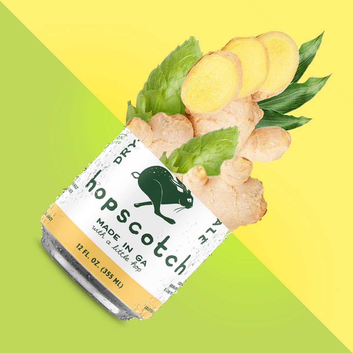 New Creation Soda - Wholesale Soda/Carbonated Drink - Hopscotch Dry-Hopped Ginger Ale (Case of 16)1