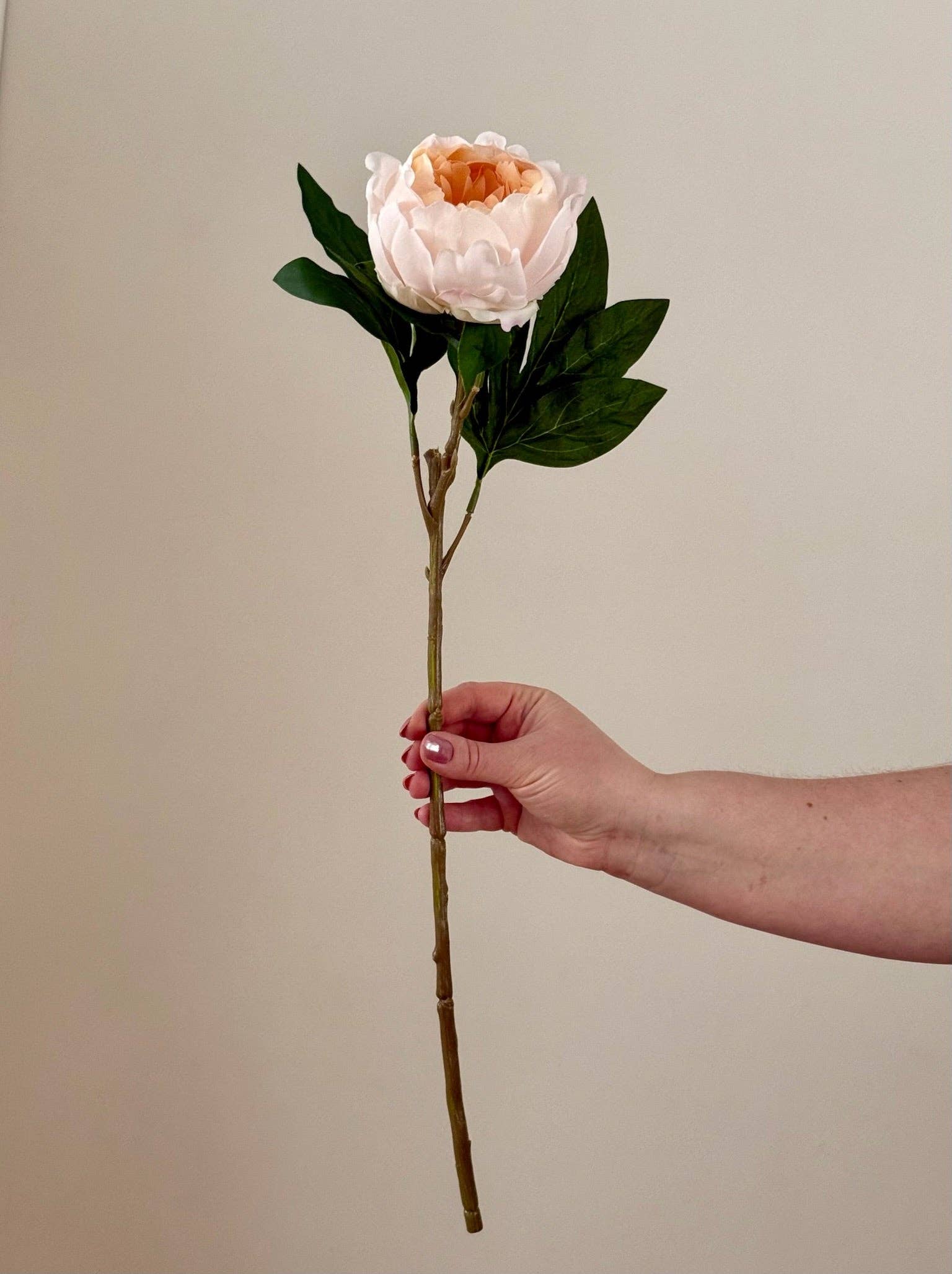 Eucalypt Co. - Wholesale Artificial Flowers - Real Touch Garden Peony0