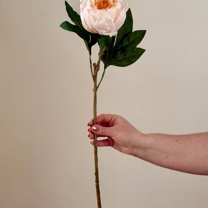 Eucalypt Co. - Wholesale Artificial Flowers - Real Touch Garden Peony