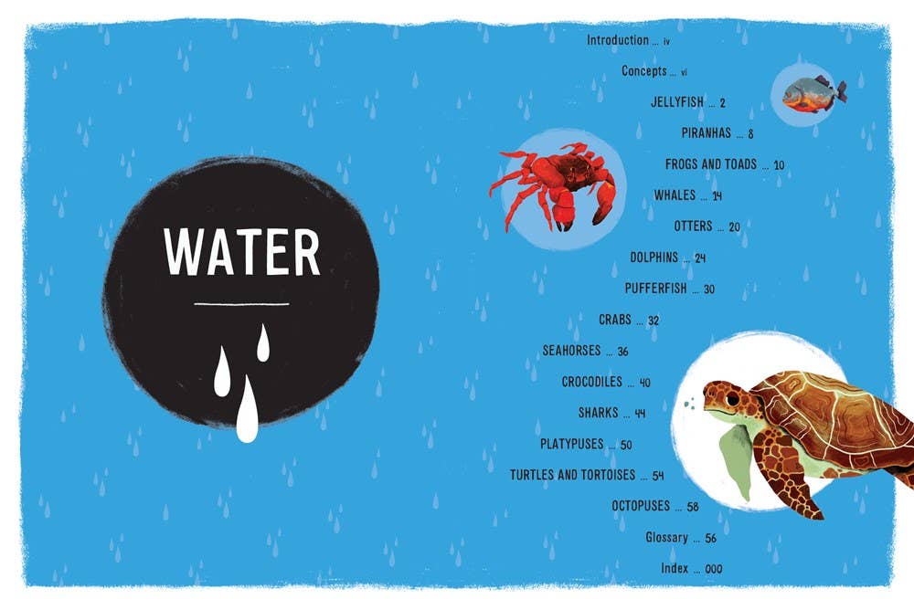 W. W. Norton - Wholesale Nature & Outdoors - Weird, Wild, Amazing! Water2