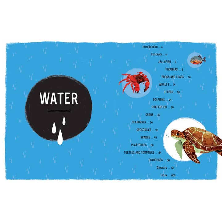 W. W. Norton - Wholesale Nature & Outdoors - Weird, Wild, Amazing! Water2