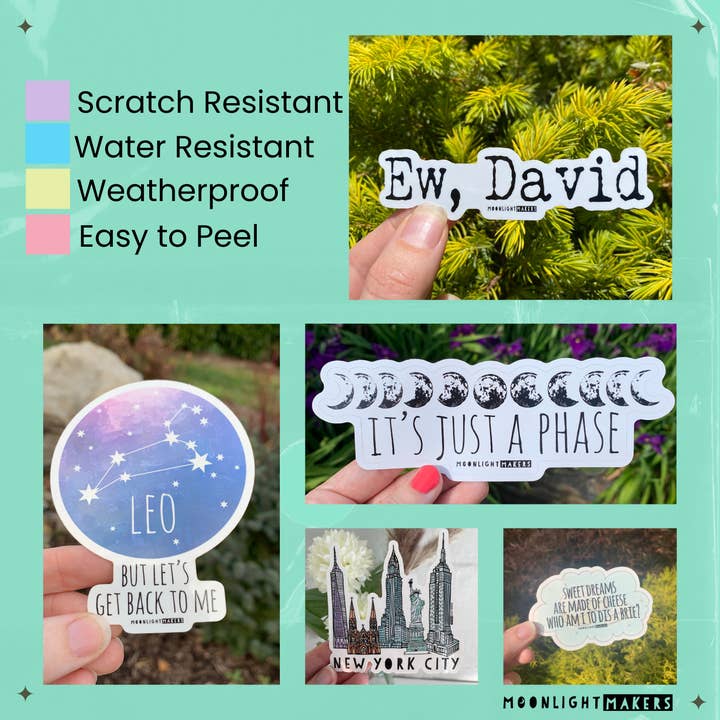 Moonlight Makers - Wholesale Sticker - Sweet Carrot Lime - Stickers - CLOSEOUT SALE