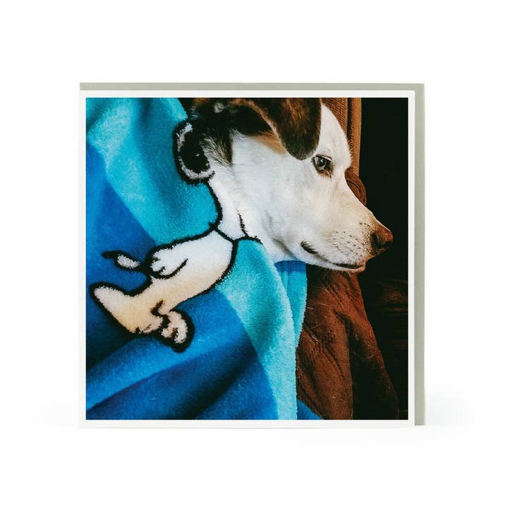 Nelson Line - Venta al por mayor Tarjetas de felicitación - Tarjeta de felicitación en blanco de Snoopy Dog