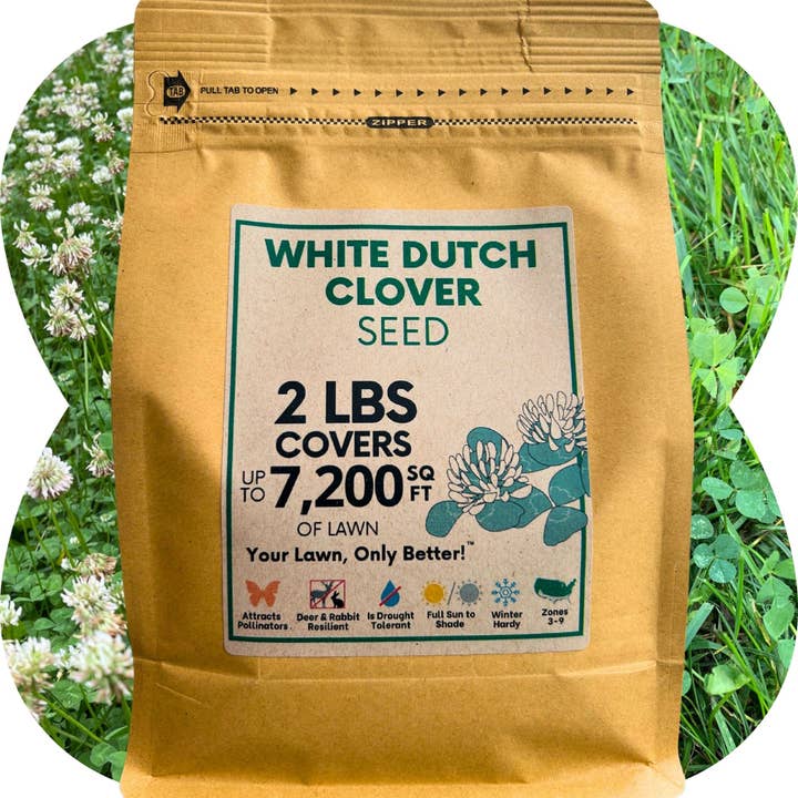 Flawn Seed Kits - Wholesale Plant Seeds - Dutch White Clover Seed5