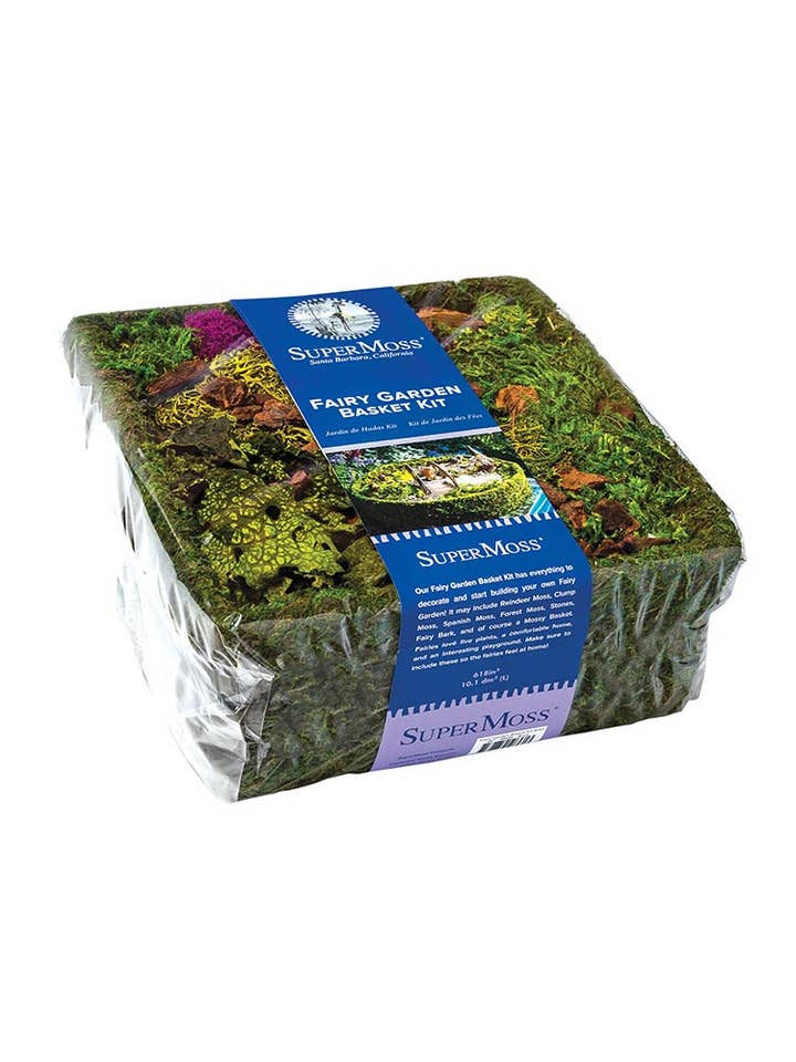 Fairy Garden Basket Kit, Fresh Green, 10in for wholesale by SuperMoss