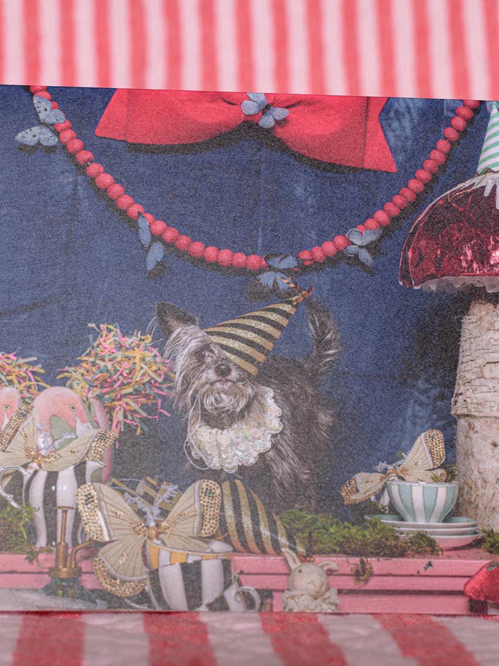 Everyday Greeting Card Alice in Wonderland Dog Photography for wholesale by The Velvet Big Top