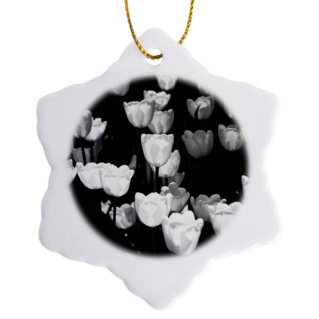 3dRose - Wholesale Ornament - 3dRose, Sunlit white tulip flowers, black and white photo, Ornament0