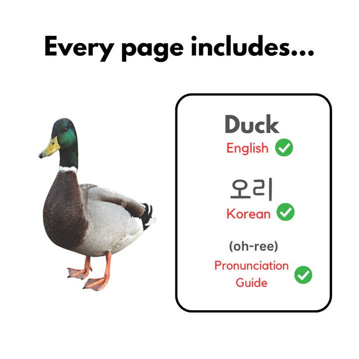 Heritage Kids Press - Wholesale Baby & Toddler Book (0-2) - My First Korean Words Series7