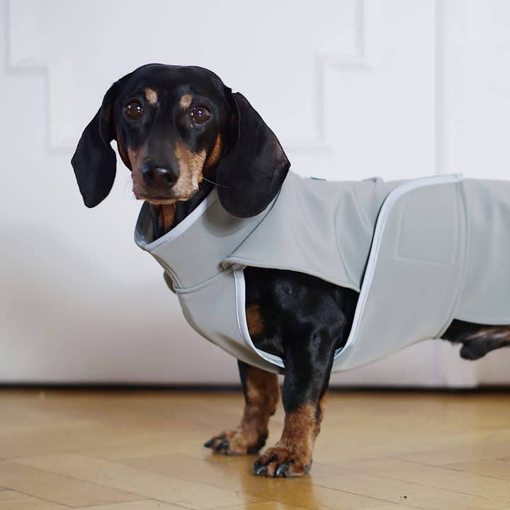 Softshelljacka för tax Miró i grått för wholesale av Dachshund Couture