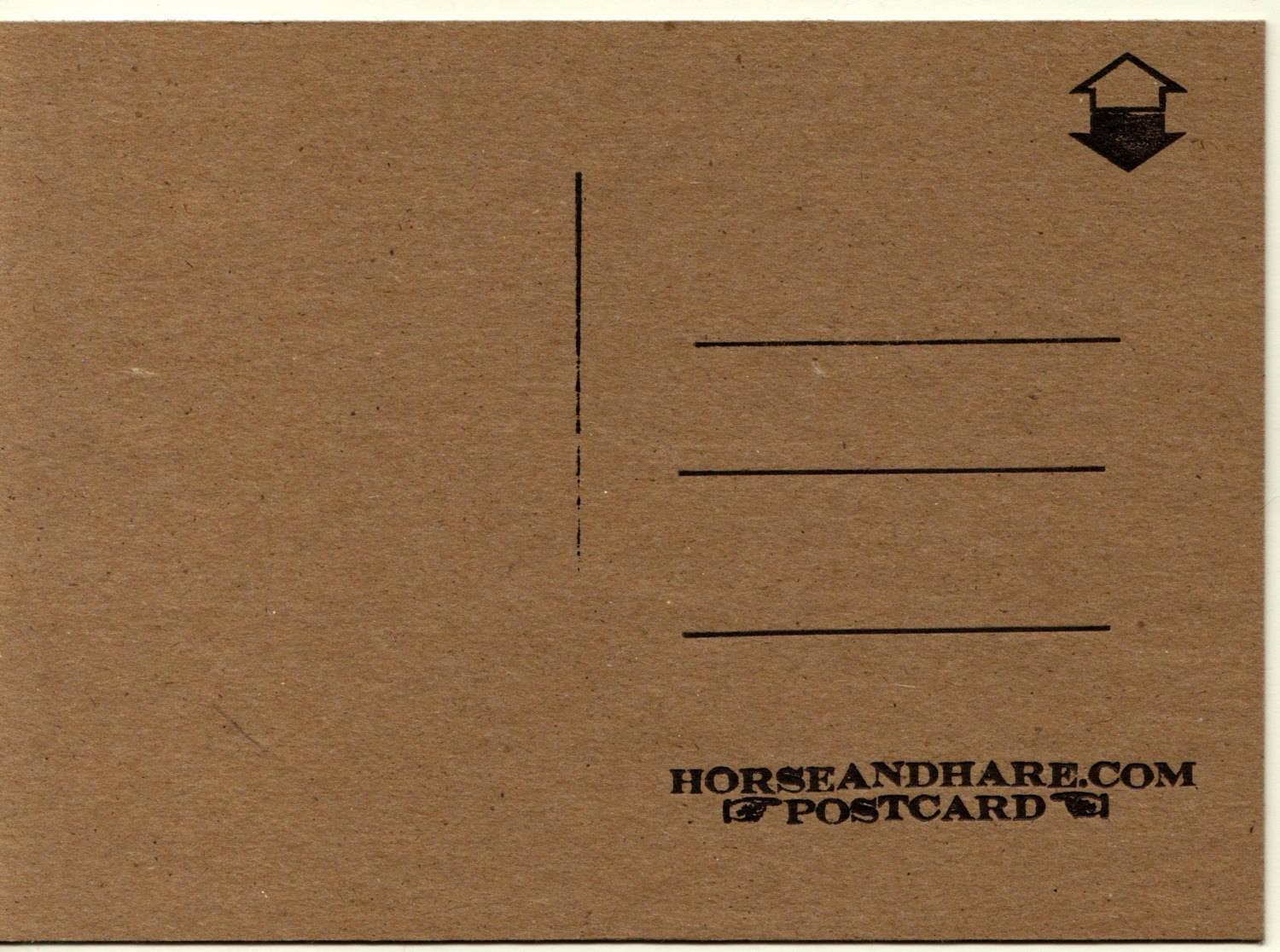 Horse & Hare - Wholesale Postcard - Lucky Cat Maneki Neko Postcard1