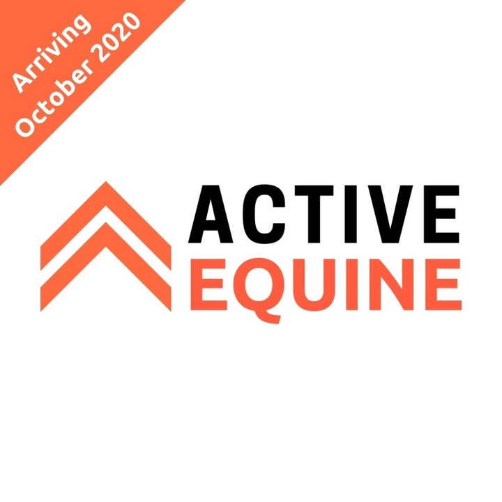 Active Equine - Wholesale Horseback Riding Gear - Removable Martingale Stopper (Pair) One Size | Active Equine