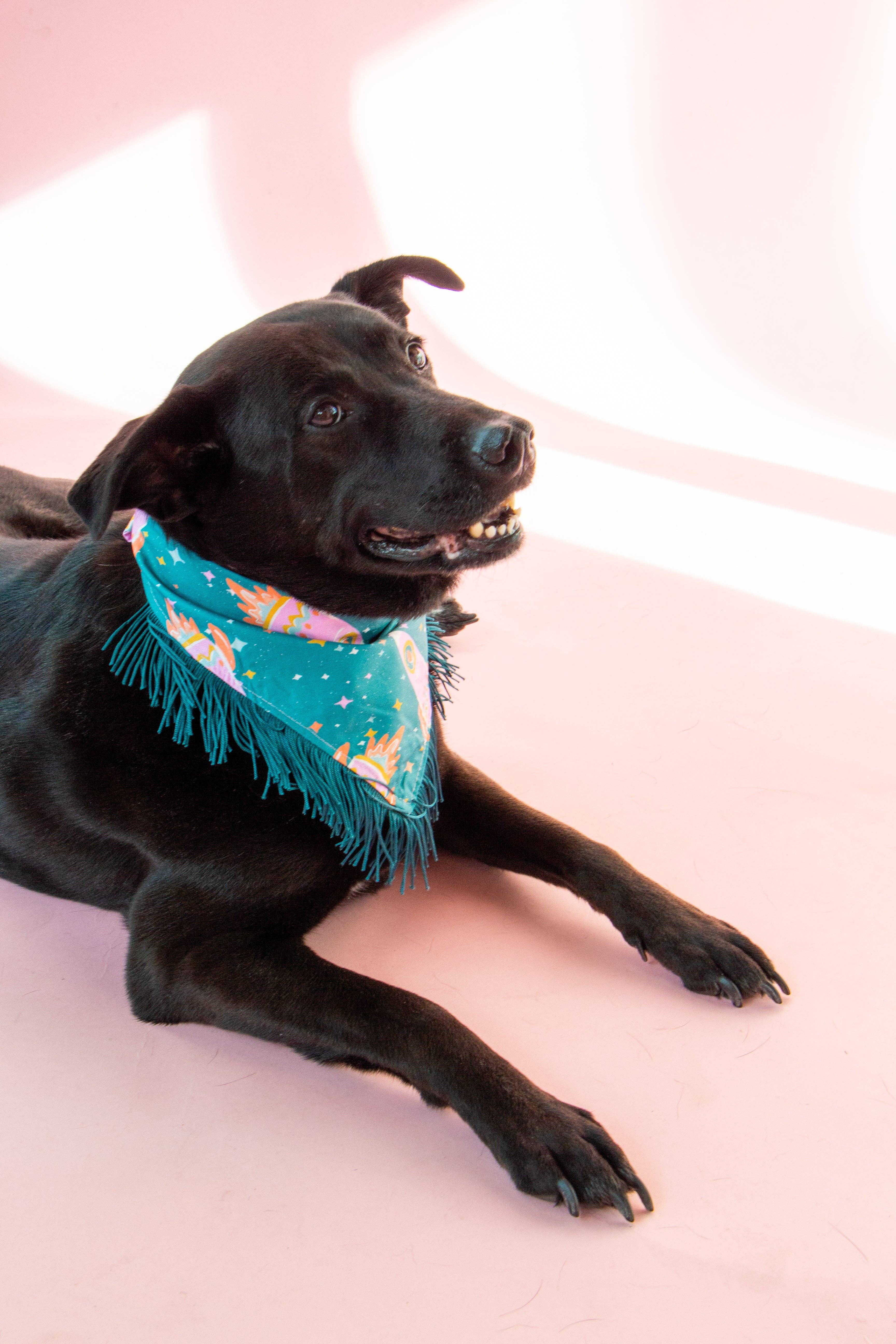 Velvet Outlaw - Wholesale Pet Bandana - Dog - Space Cowboys with Teal Fringe Dog Bandana7