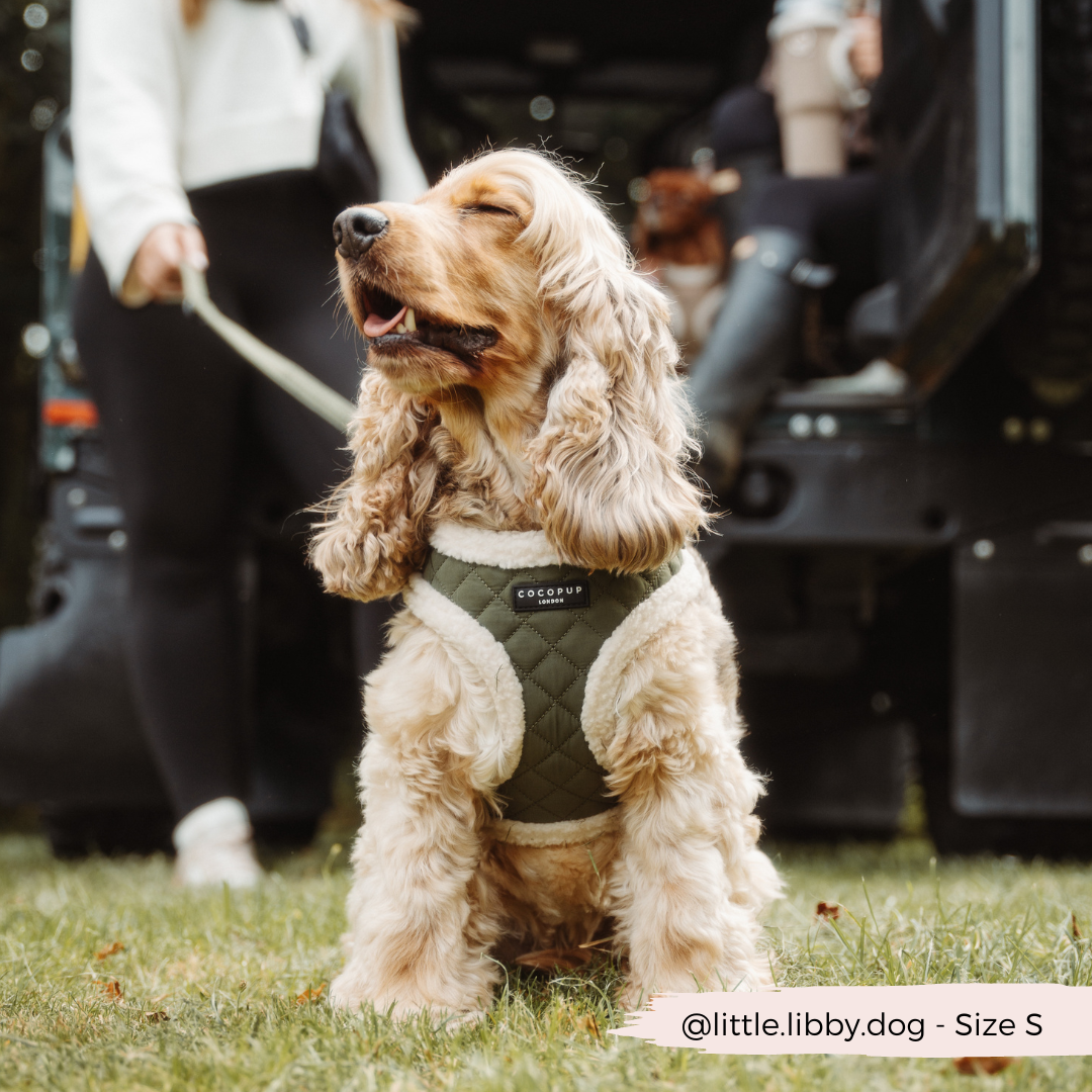 Cocopup London - Wholesale Pet Harness - Dog - Khaki Quilted Adjustable Neck Harness12