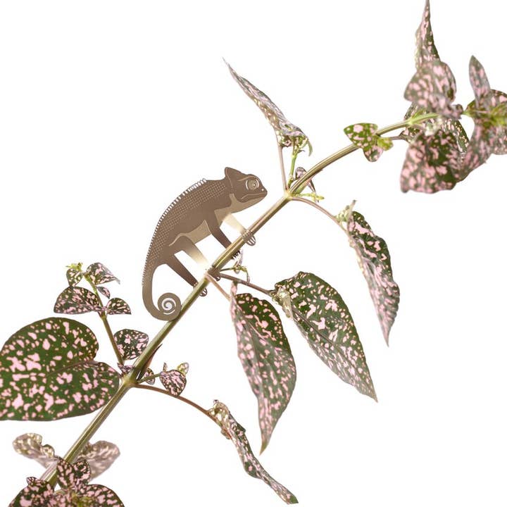 Another Studio - Wholesale Ornament - Plant Animal - Chameleon, garden decor