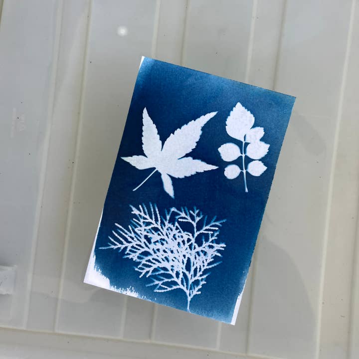 My Little Print Studio - Wholesale DIY craft kit - Sun Printing Paper5