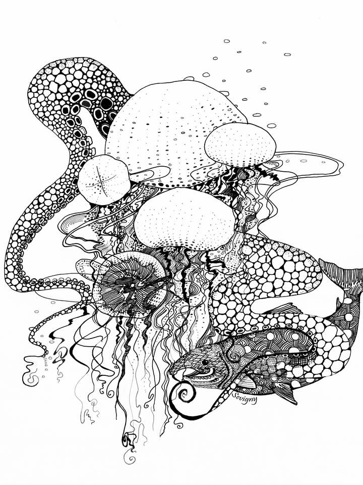 UN DÍA EN OAK JELLYFISH para venta al por mayor de Sevigny Studio