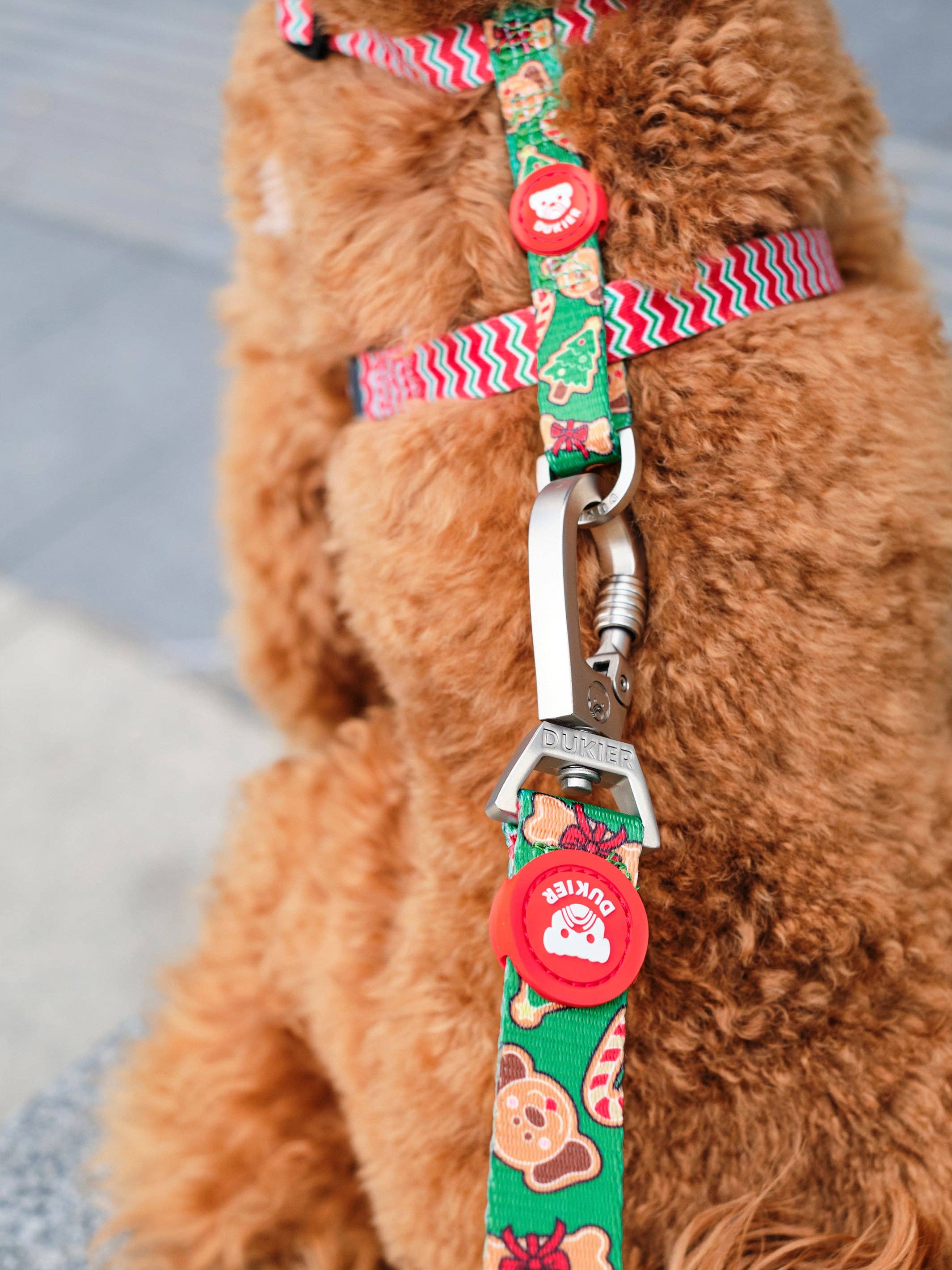 Dukier - Wholesale Pet Harness - Dog - GINGER BREAD CLASSIC DOG HARNESS3