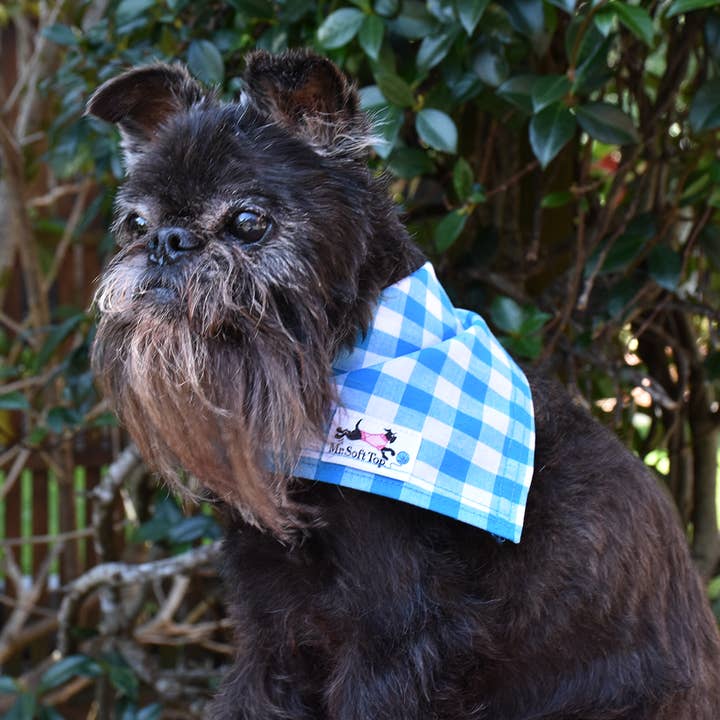Turquoise and White Check Bandana for wholesale by Mr. Soft Top