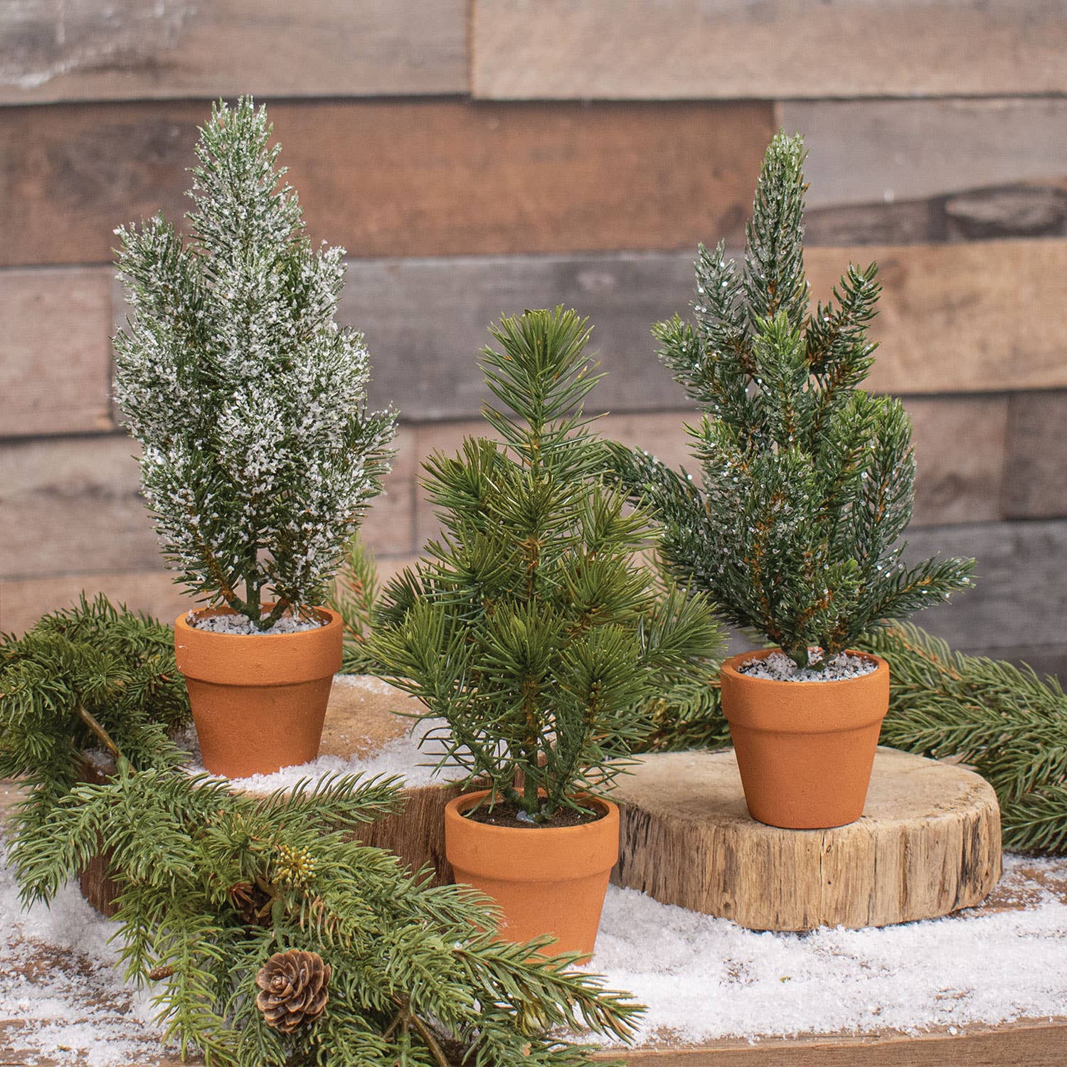 Bright Ideas - Wholesale Christmas Decoration - 10" Mini trees in terra cotta pots, 3 asst1