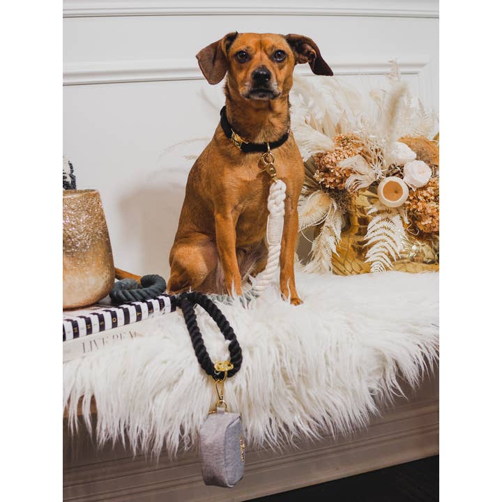 Pink Papyrus | Premium, Durable, & Stylish Dog Products – Engroshandel Hundesnor - Hund – Cairo Rope Hundesnor | Hundesnor | Sort og grå snor7