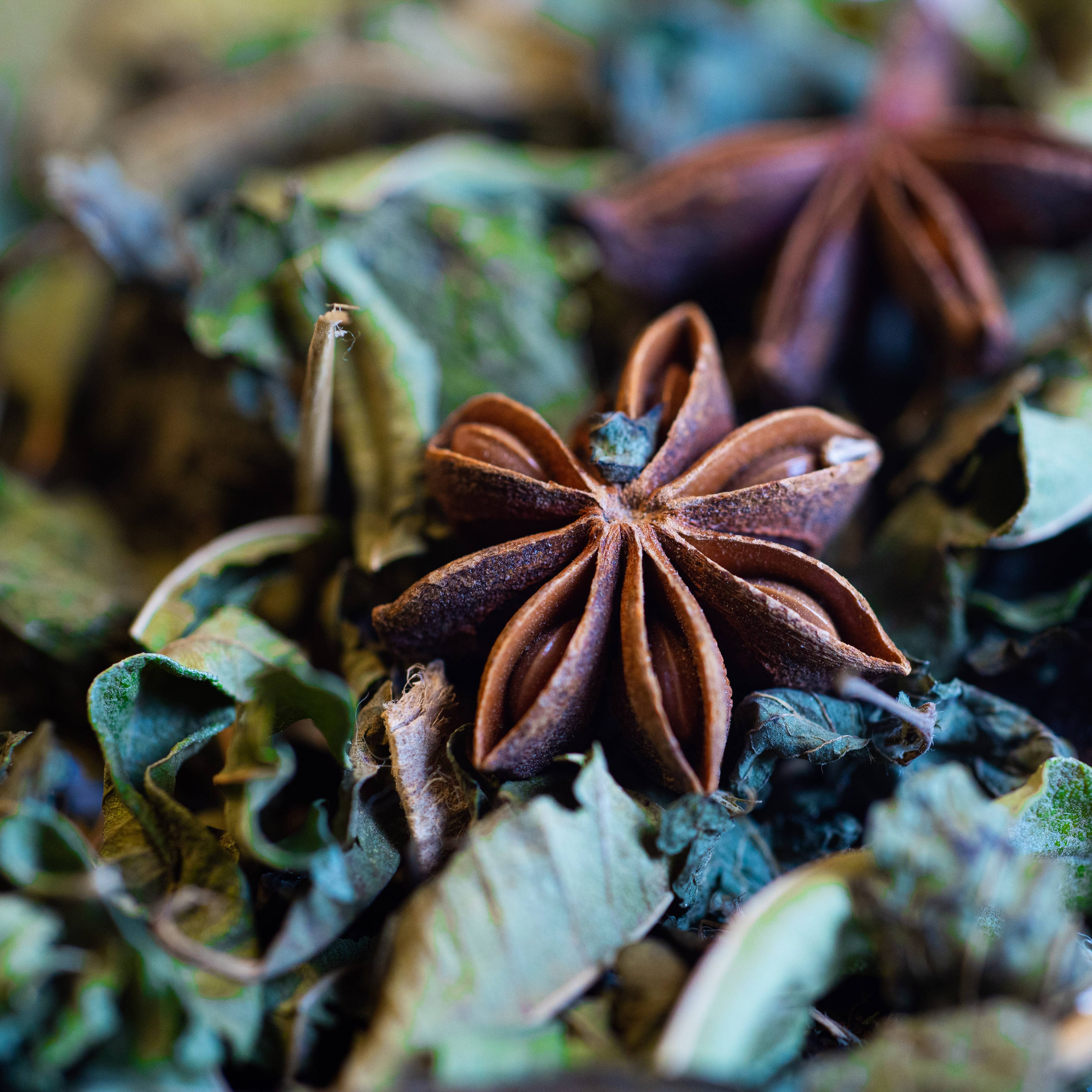 LE COMPTOIR D'HERBORISTERIE - Venta al por mayor Tés saludables/desintoxicantes - Té herbal digestivo orgánico 50 g1