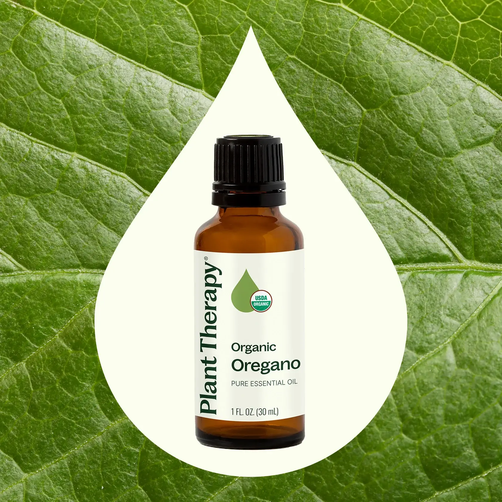 Plant Therapy - Wholesale Essential Oil - Organic Oregano Essential Oil 30 mL1