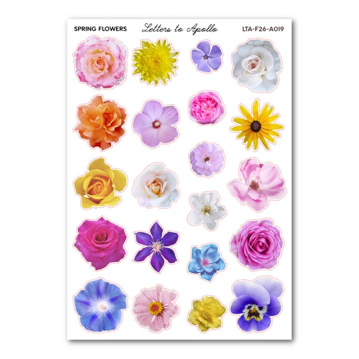 SPRING FLOWERS for wholesale by Letters to Apollo