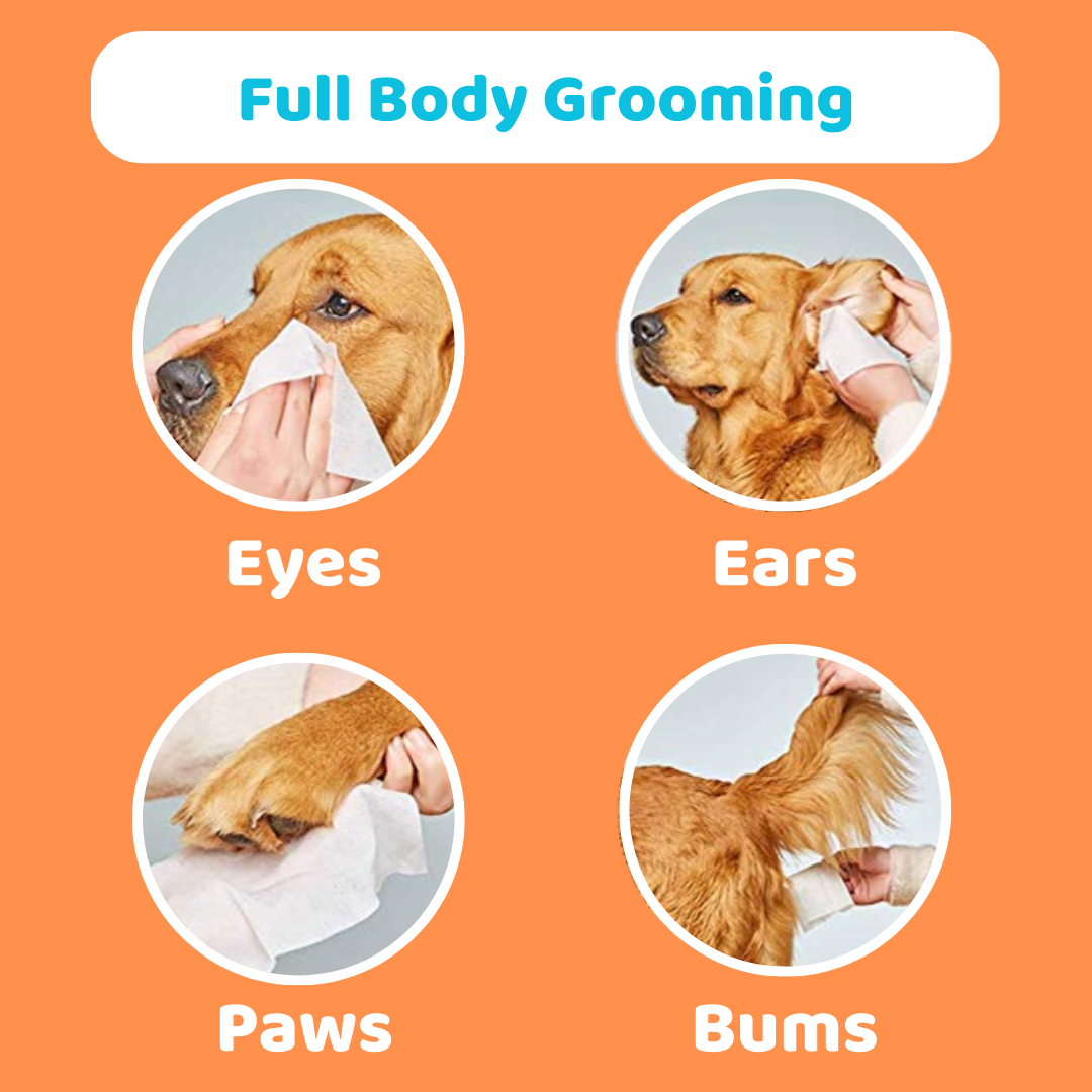 OurPetsLife - Wholesale Pet grooming aid – Dog - Scented Dog Wipes1