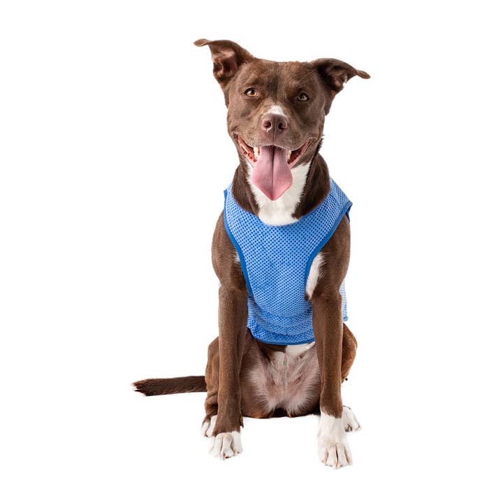 GF Pet - Wholesale Pet vest – Dog - GF Pet Elasto-Fit Ice Vest: Blue8